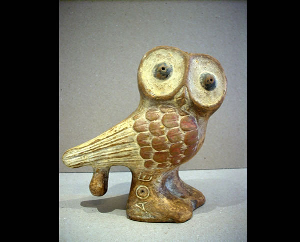 owls